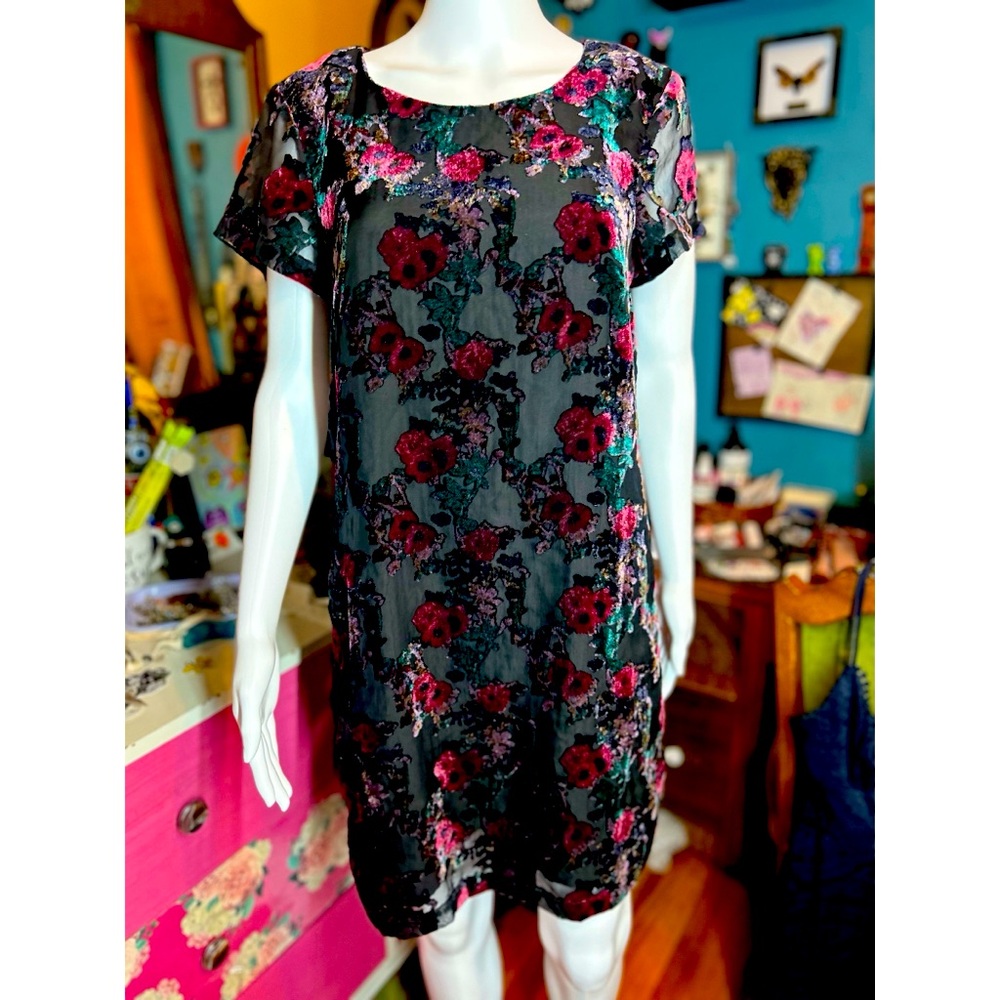 Gorgeous Carolina Belle Whimsigoth Velvet Burnout Dress